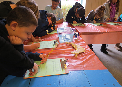 Children in an AG Learning Program