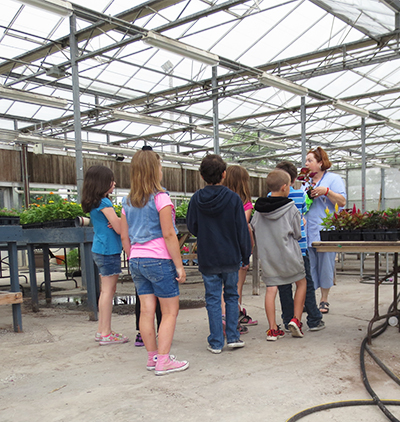 Children in an AG Learning Program