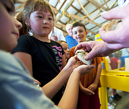 Children in an AG Learning Program