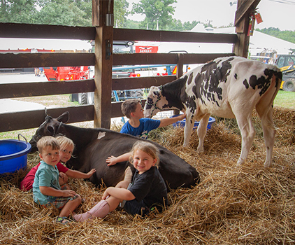 Children petting cows