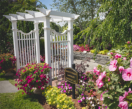 Conservatory Landscaping