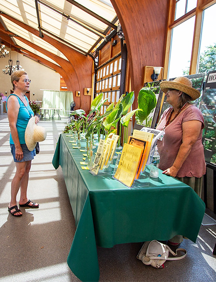 Hosta Exhibit