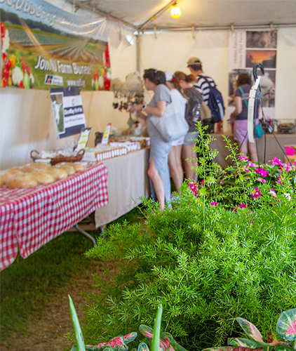 The Farmer's Market