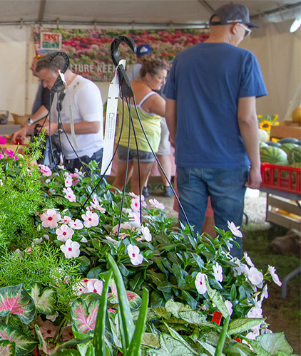 The Farmer's Market