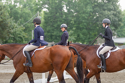 Horse Show