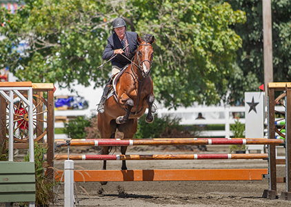 Horse jumping