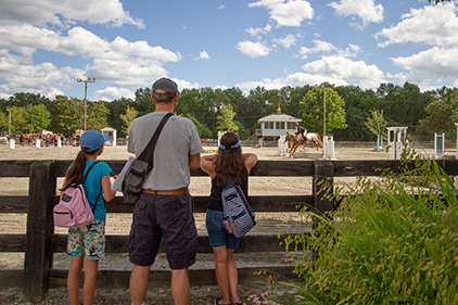 Watching the horses