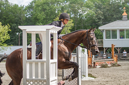 Horse jumping