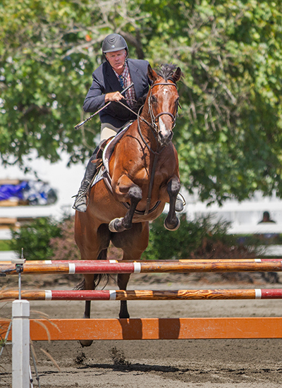 A horse jumping