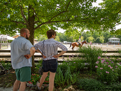 A couple watching a horse