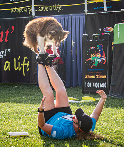 K9s in Flight performing at the Fair