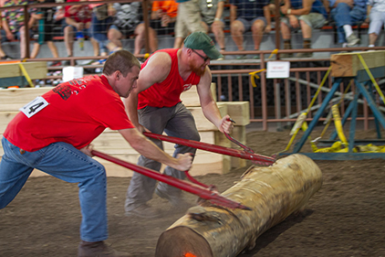 Lumberjacks competing