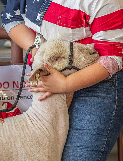 A girl with her sheep